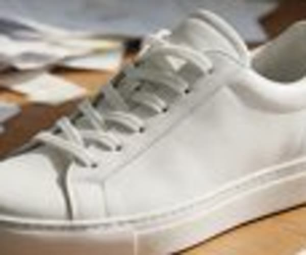 Product photo: input, plainly enlarged